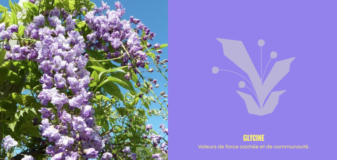 Illustration du projet P'tite Lumière & Cie